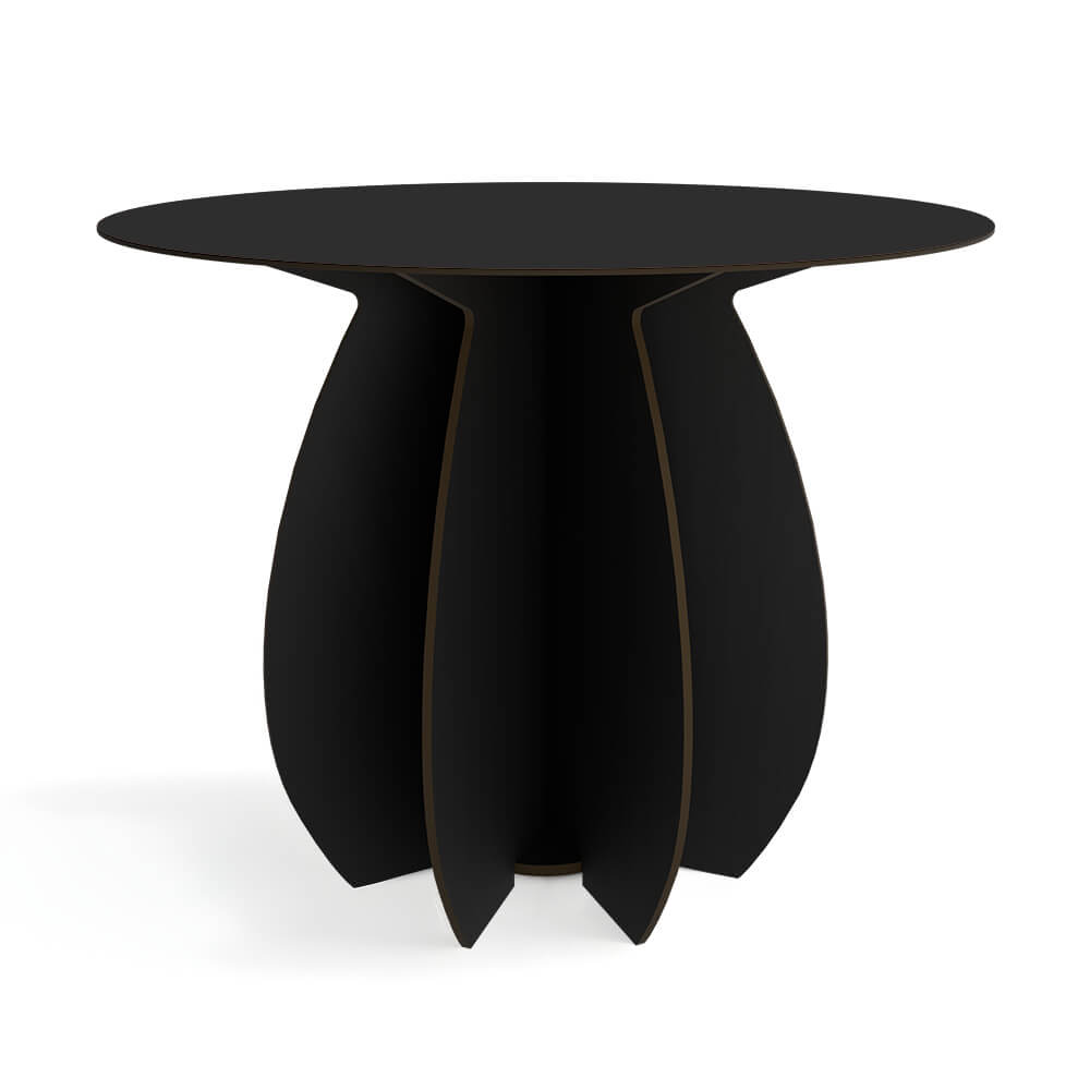 IbrideParodia Magnifica圆餐桌